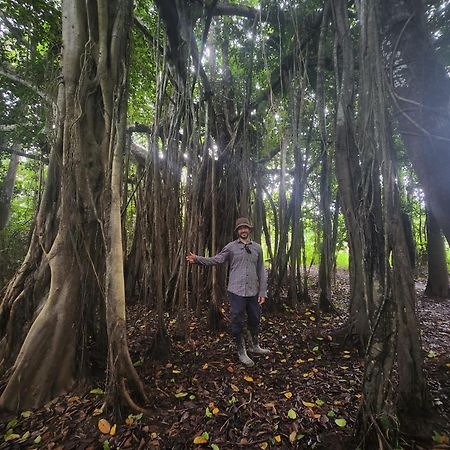 Hospedaje Y Tours Reina Arriera Amazonas Colombia Macedonia Bagian luar foto