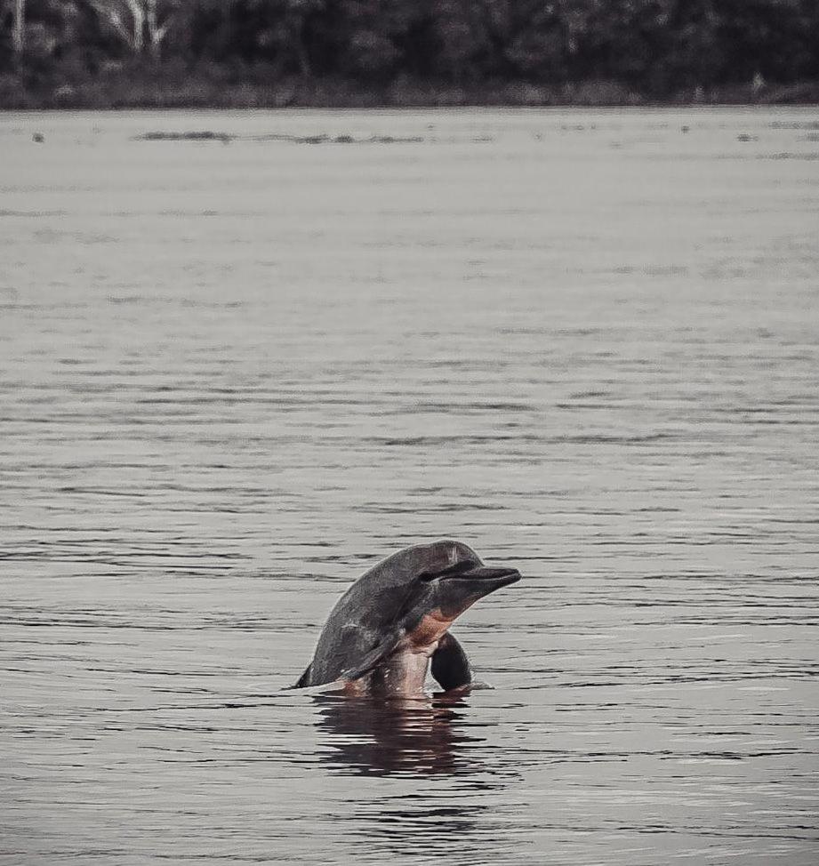 Hospedaje Y Tours Reina Arriera Amazonas Colombia Macedonia Bagian luar foto
