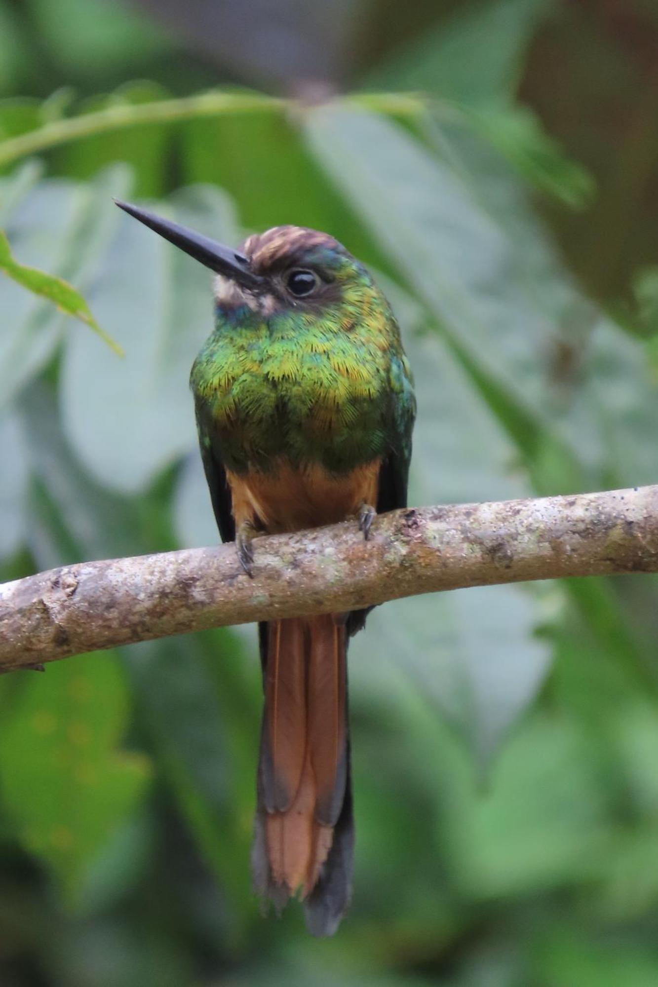 Hospedaje Y Tours Reina Arriera Amazonas Colombia Macedonia Bagian luar foto