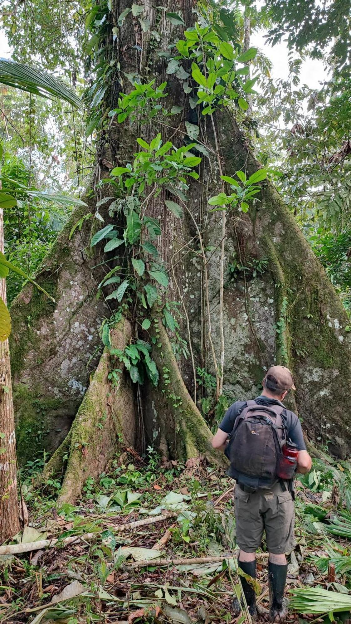 Hospedaje Y Tours Reina Arriera Amazonas Colombia Macedonia Bagian luar foto