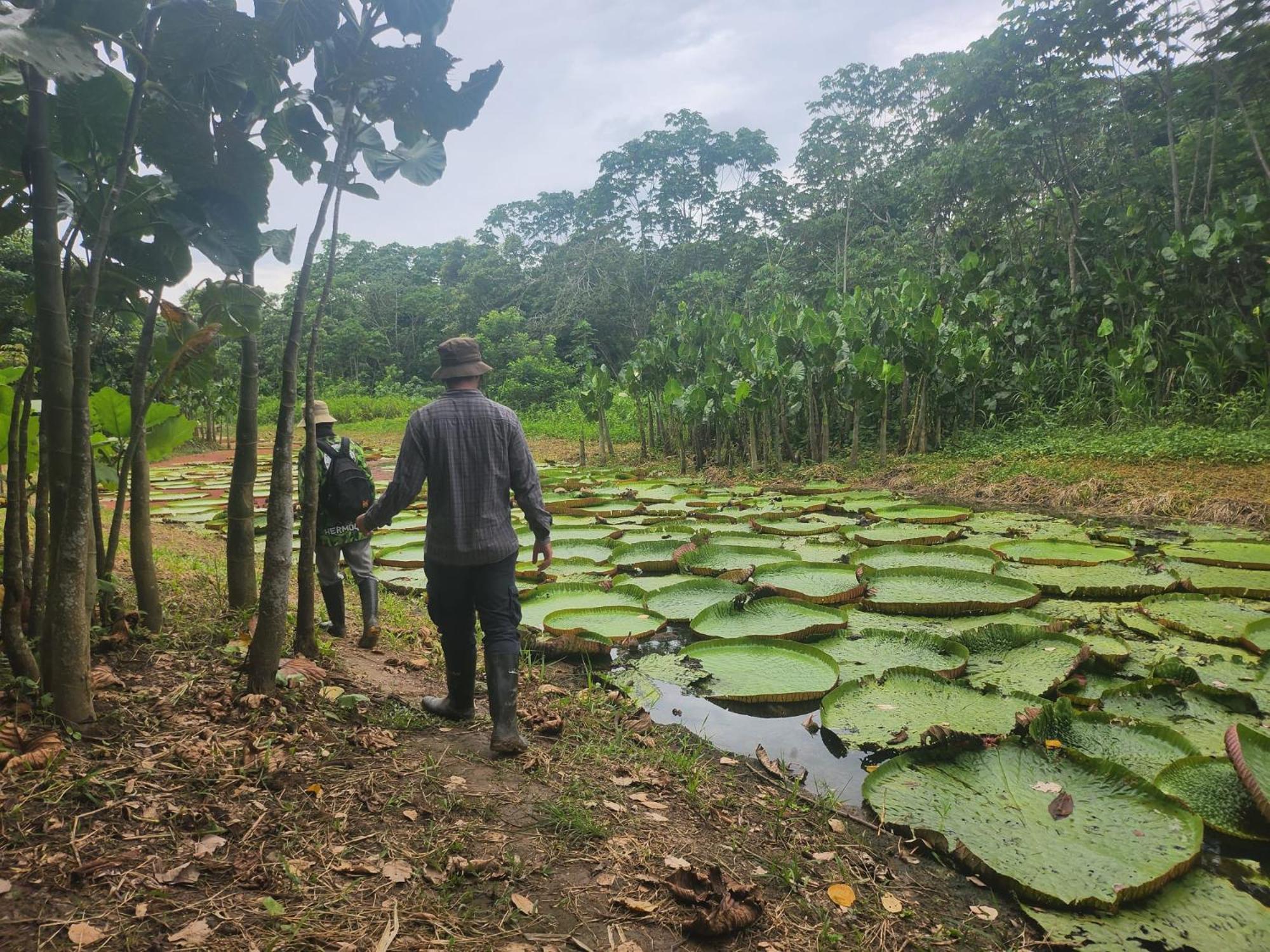 Hospedaje Y Tours Reina Arriera Amazonas Colombia Macedonia Bagian luar foto