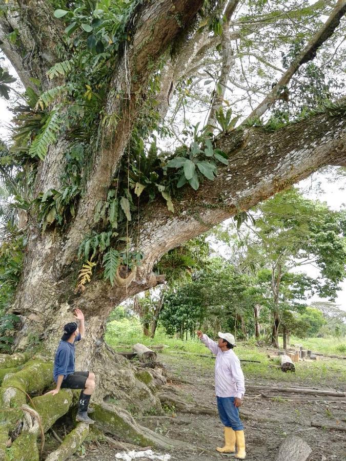 Hospedaje Y Tours Reina Arriera Amazonas Colombia Macedonia Bagian luar foto